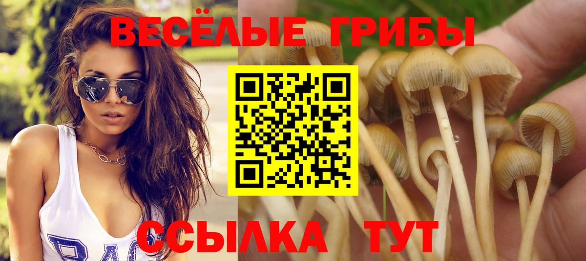Псилоцибиновые грибы ЛСД Люберцы